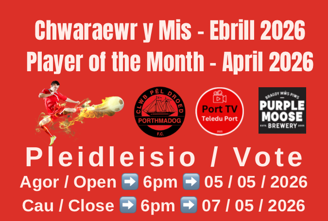 Read more about the article Chwaraewr y mis / Player of the Month